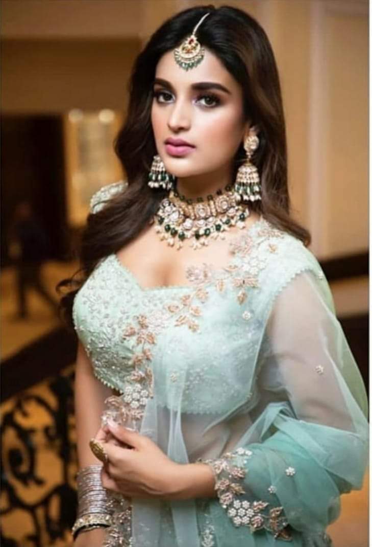 nidhhi agerwal tollywood famous heroine